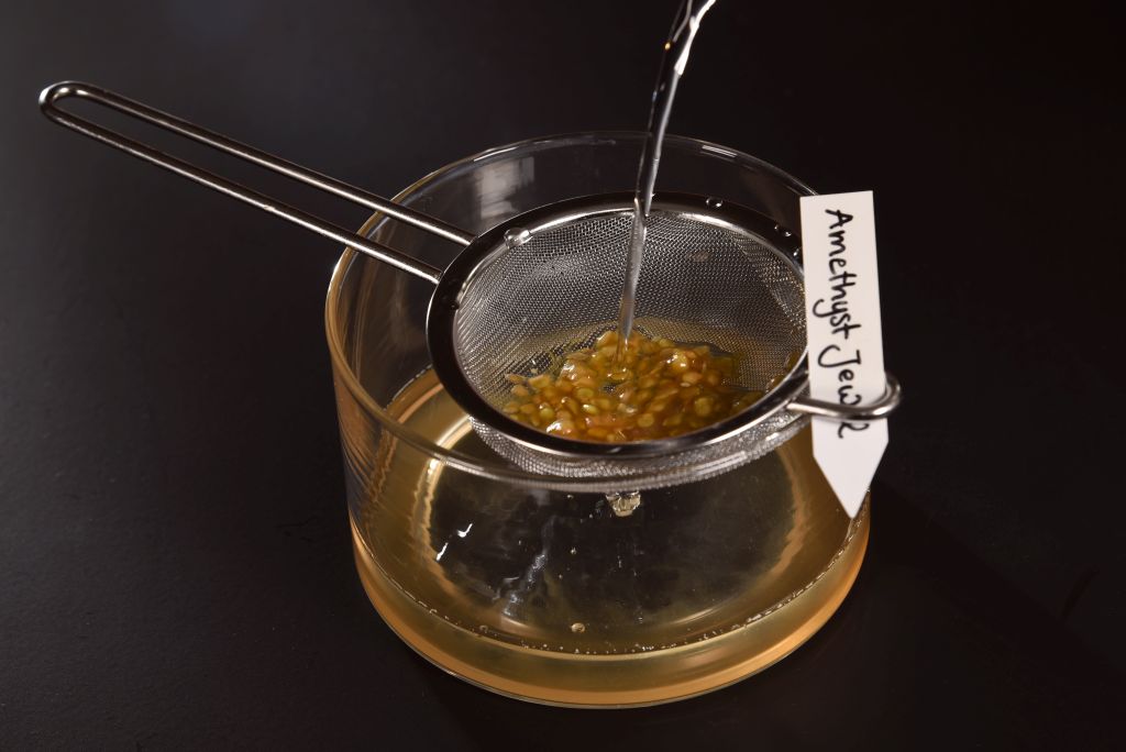 Samen auswaschen-035