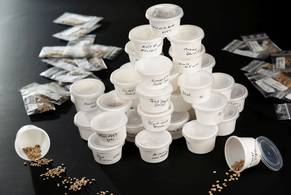 Samenaufbewahrung-150